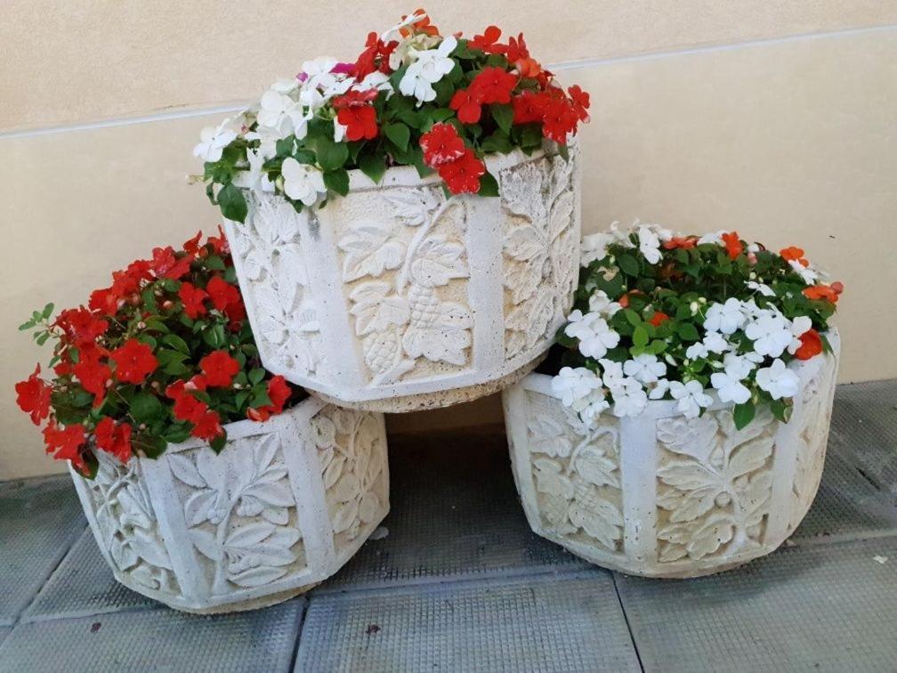 Анси Pomorie Eksteriør billede